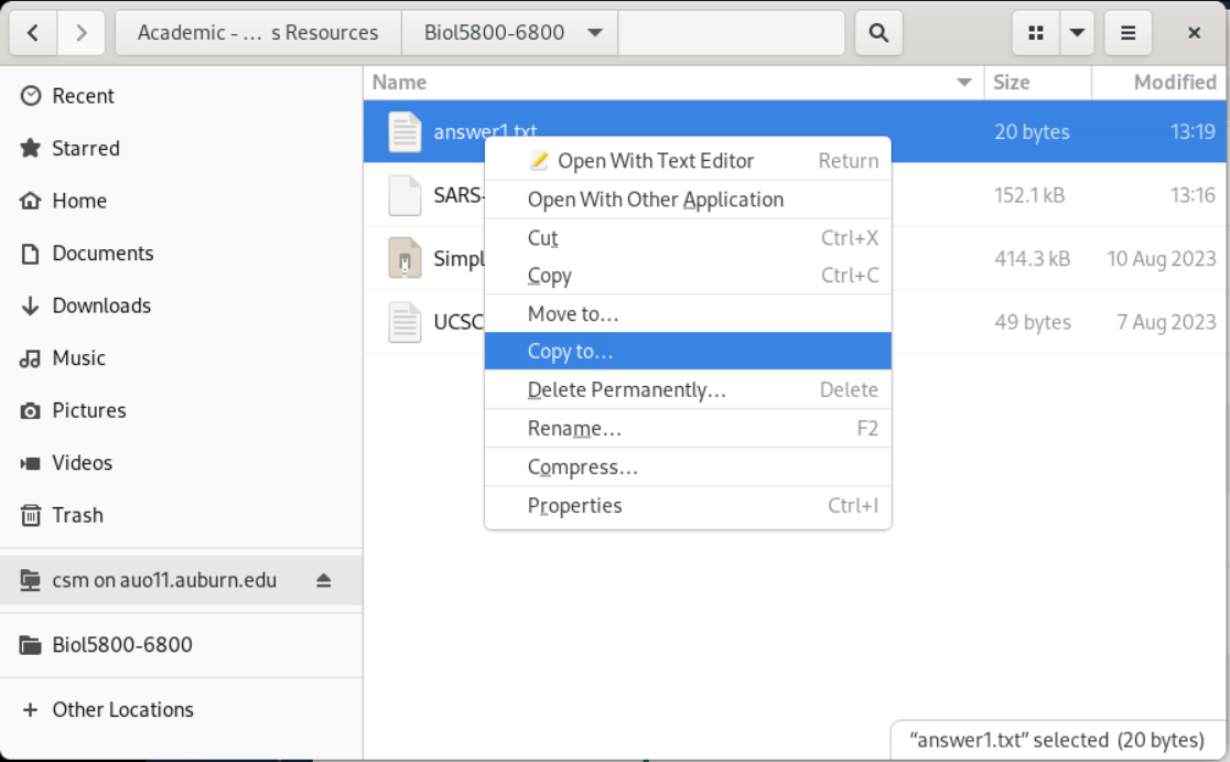 Copying shared file in Files app