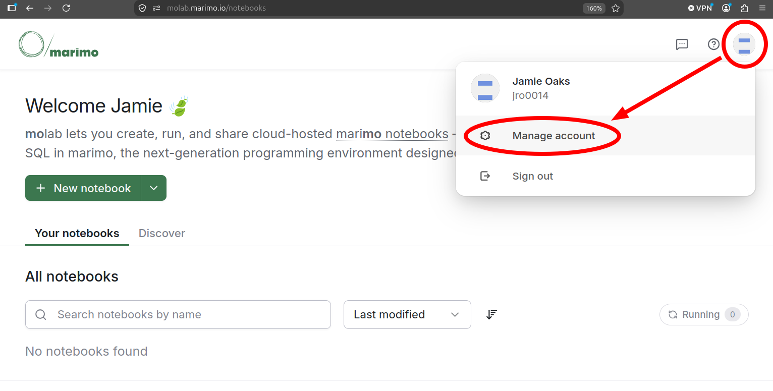 Accessing molab account details