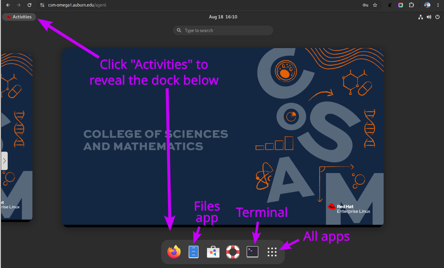 How to view the dock and launch apps