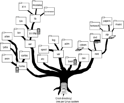 Bash intro